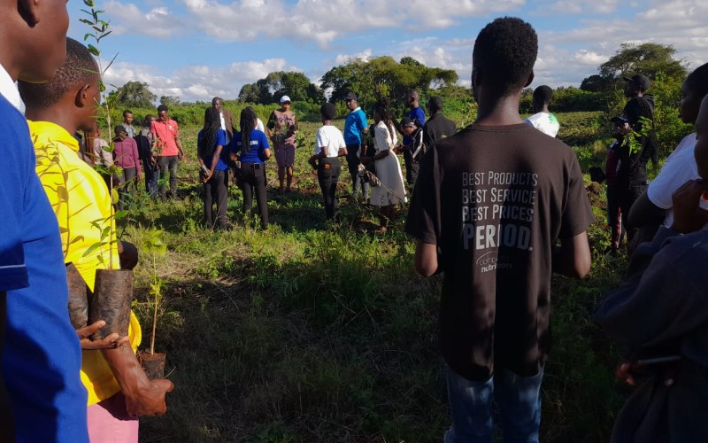 Planting Trees